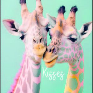 Giraf kisses
