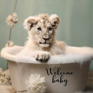 Kaart Welcome baby