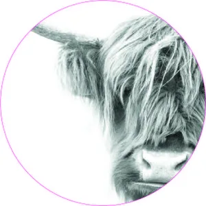 Muurcirkel Highlander