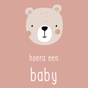 Hoera een baby (beer)