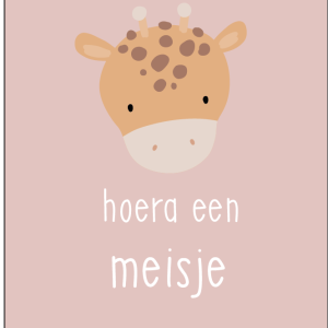 Hoera een meisje