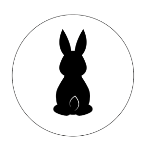 Bunny 2