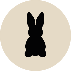 Bunny 1