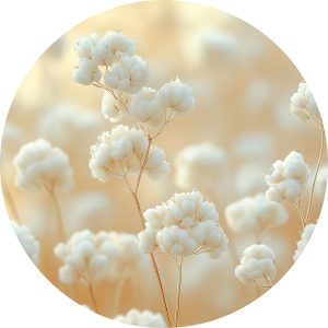 White flowers