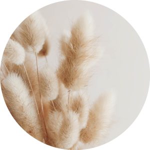 Hazenstaart 1