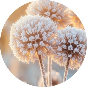 Ice flower