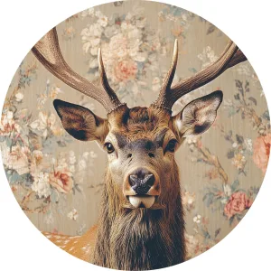Deer  2