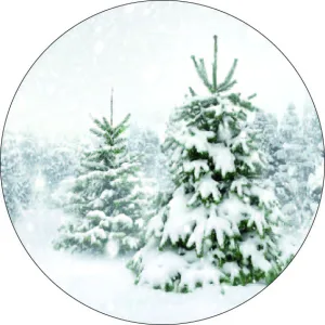 Den in sneeuw