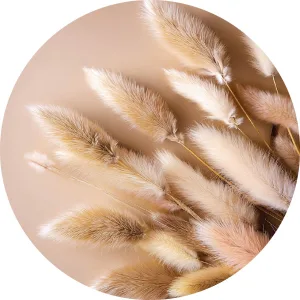 Pampas pink