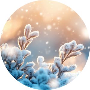 Winter takje
