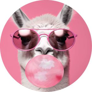 Lama pink