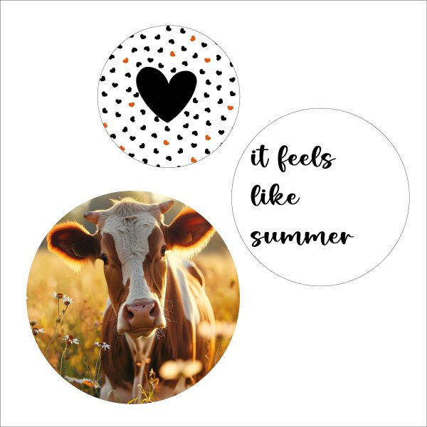 Summer cow set