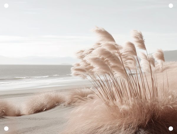 Beach 1